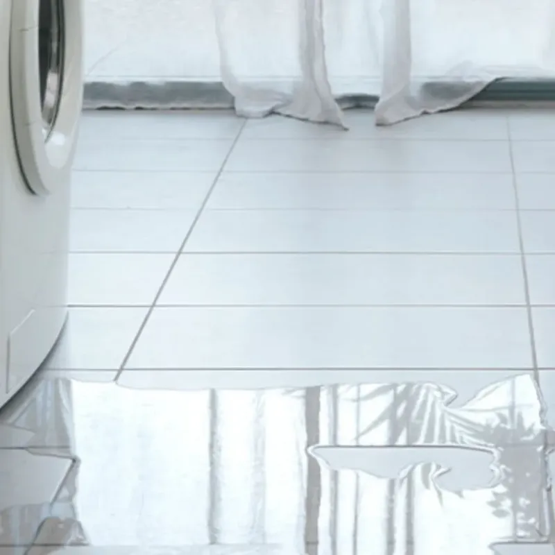 Appliance Leak Cleanup in McQueeney, TX