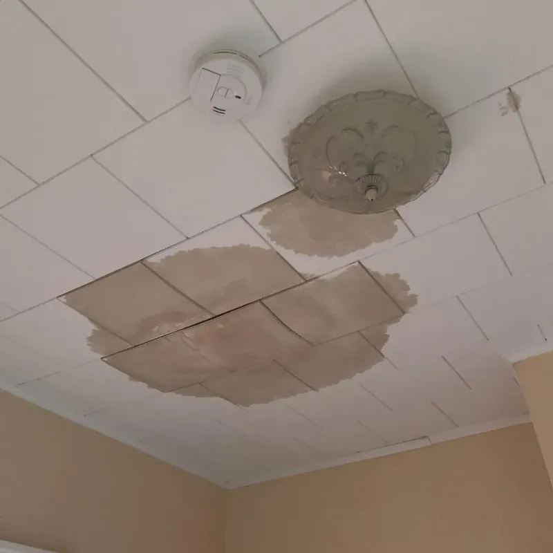 Ceiling Water Damage Repair in McQueeney, TX