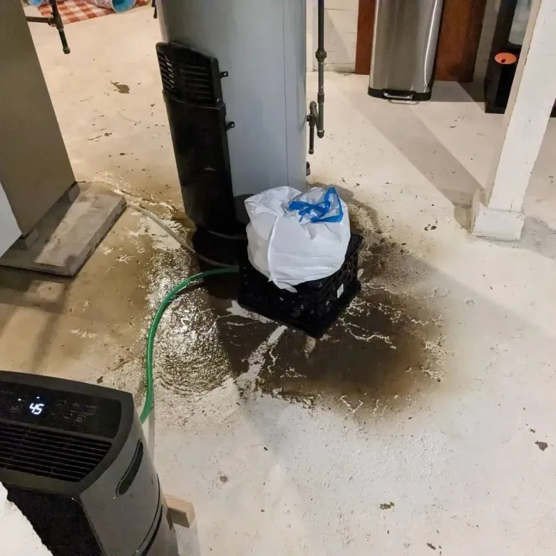 Sewage Backup Cleanup Service in McQueeney, TX